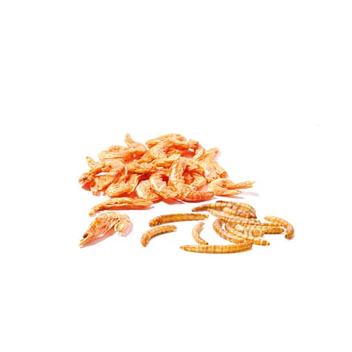 PKJP142 - Xtra Bite Dried Mealworm & Shrimps 60g