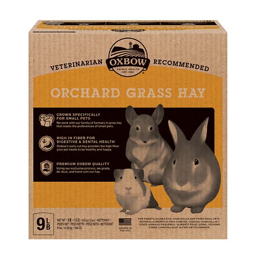 Oxbow Orchard Grass Hay for Small Animals