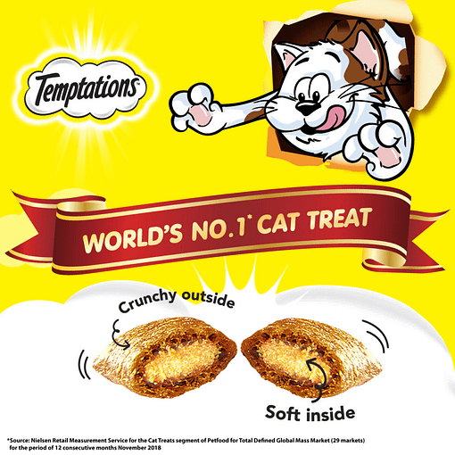 Temptations Cat Treat Cat Snack Dairy 85g