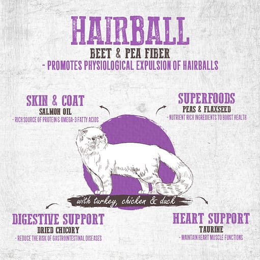 Absolute Holistic Grain Free Dry Cat Food - Hairball