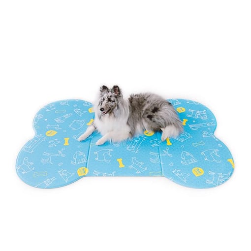 Sapsal Soft Pet Mat - Blue