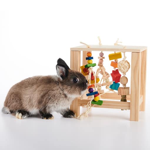 Oxbow Enriched Life - Play Table Toy for Small Animals