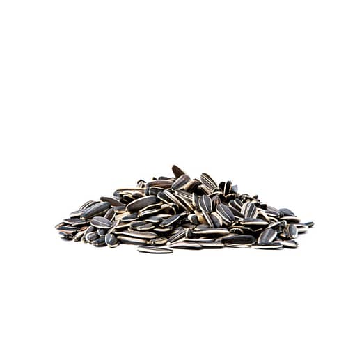 PKJP241 - Xtra Bite Sunflower Seeds 180g