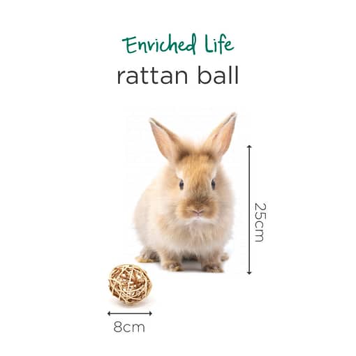 Oxbow Enriched Life - Rattan Ball Toy for Small Animals