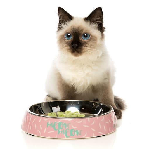 FuzzYard Featherstorm - Melamine Cat Bowl