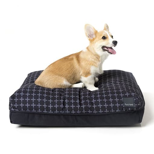 Yeezy Big Dreamer Pet Pillow