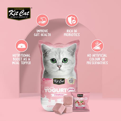 Kit Cat Freeze Dried Yogurt Yums Cat Treat - Strawberry (10pcs)