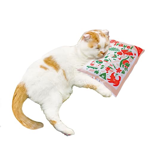 CattyMan Comfortable Cat Pillow - Travel Book