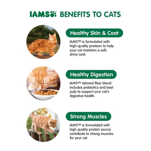 IAMS Cat Food Dry FoodSenior Chicken 3kg