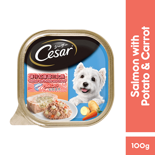 CESAR Dog Food Wet Food Salmon with Potato & Carrot 100g