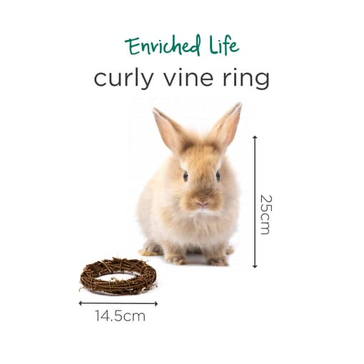 Oxbow Enriched Life - Curly Vine Ring Toy for Small Animals