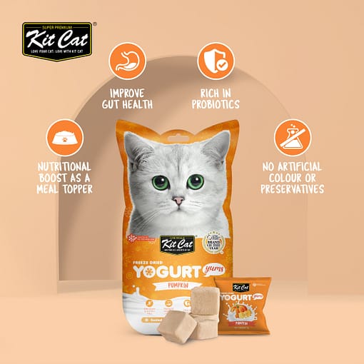 Kit Cat Freeze Dried Yogurt Yums Cat Treat - Pumpkin (10pcs)