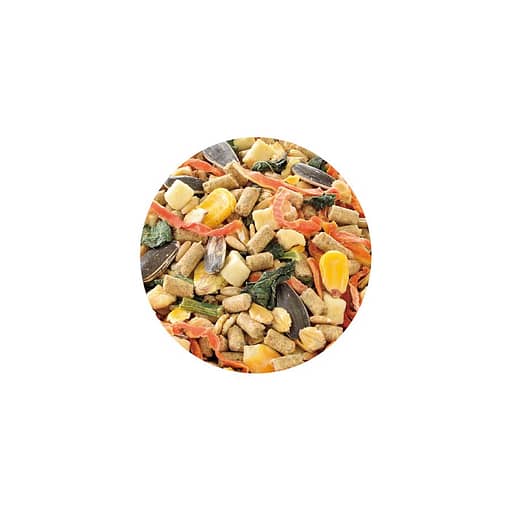 Gex Saishoku 7 Ingredient Dwarf Hamster Mix