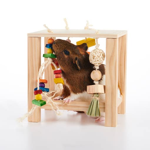 Oxbow Enriched Life - Play Table Toy for Small Animals