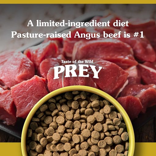 Prey Angus Beef Cat Food