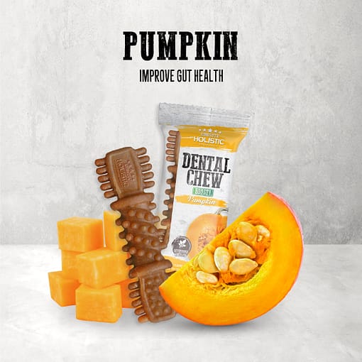 Absolute Holistic Pumpkin Boost Dental Chew 4