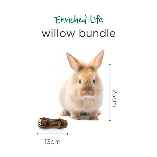 Oxbow Enriched Life - Willow Bundle Toy for Small Animals