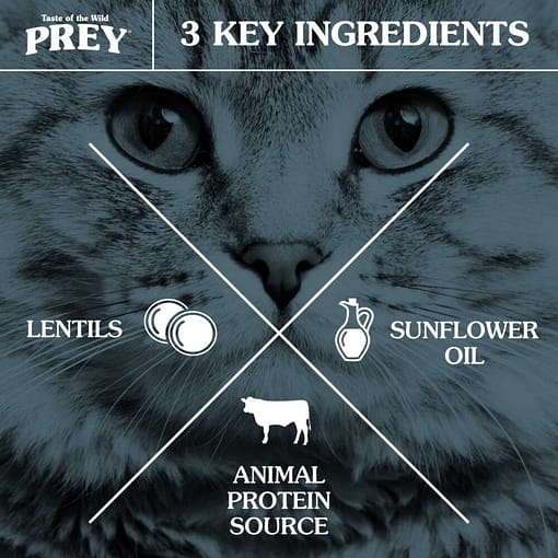 Prey Turkey Cat Food