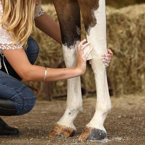 Washbar Horse & Hound Shampoo Bar