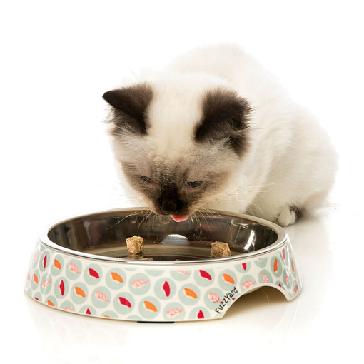 FuzzYard Sushi Delight - Melamine Cat Bowl