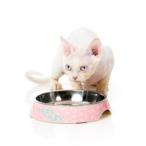 FuzzYard Featherstorm - Melamine Cat Bowl