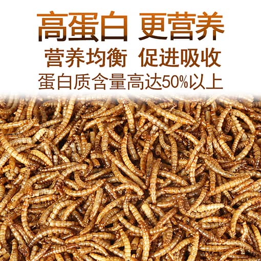 PKJP36 - Dried Meal Worms 60g