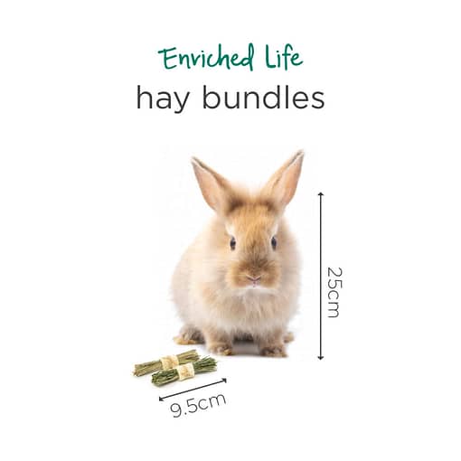 Oxbow Enriched Life - Hay Bundles Toy