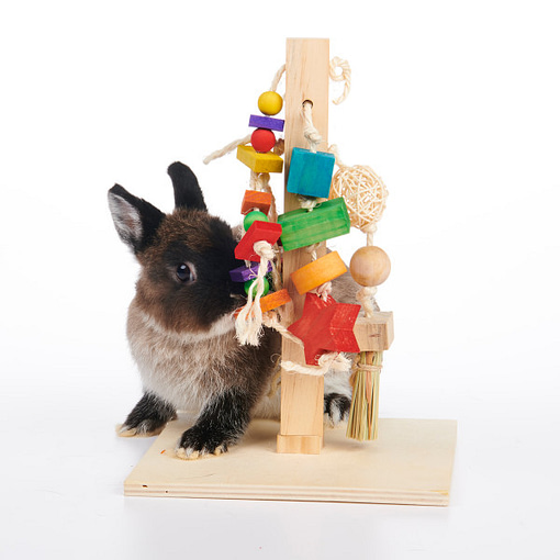 Oxbow Enriched Life - Play Post Toy for Small Animals