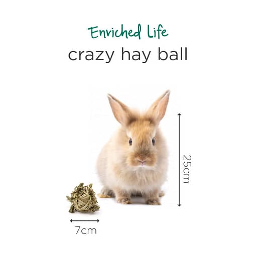 Oxbow Enriched Life - Crazy Hay Ball Toy for Small Animals