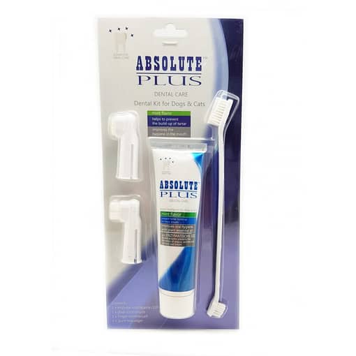 Absolute Plus Dental Kit (Mint Flavour)