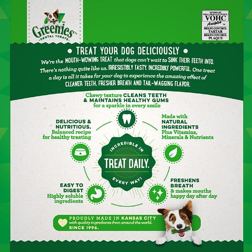 Greenies Dog Dental Treats Oral Care Treats Large 12oz (340g)