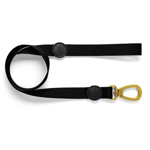 Morso Regular Dog Leash Gold Caviar