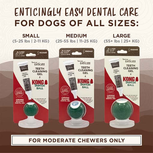 TropiClean Enticers Dental Ball Kit for Small Dogs - Smoked Beef Brisket Flavor, 1oz