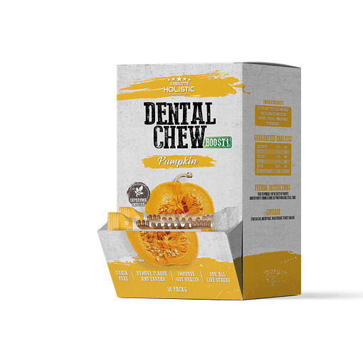 Absolute Holistic Pumpkin Boost Dental Chew 4