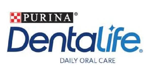 Dentalife