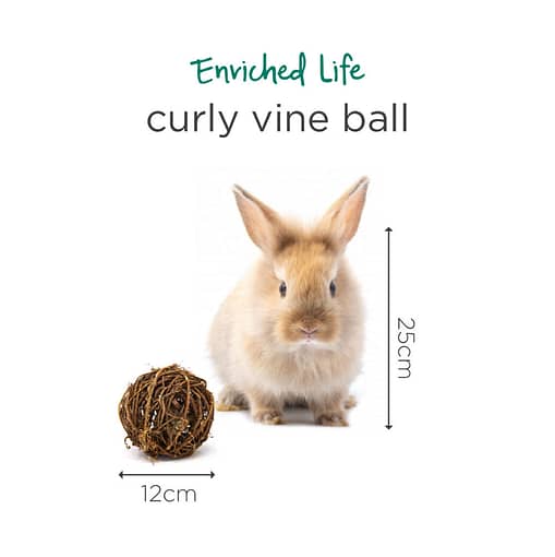 Oxbow Enriched Life - Curly Vine Ball Toy for Small Animals