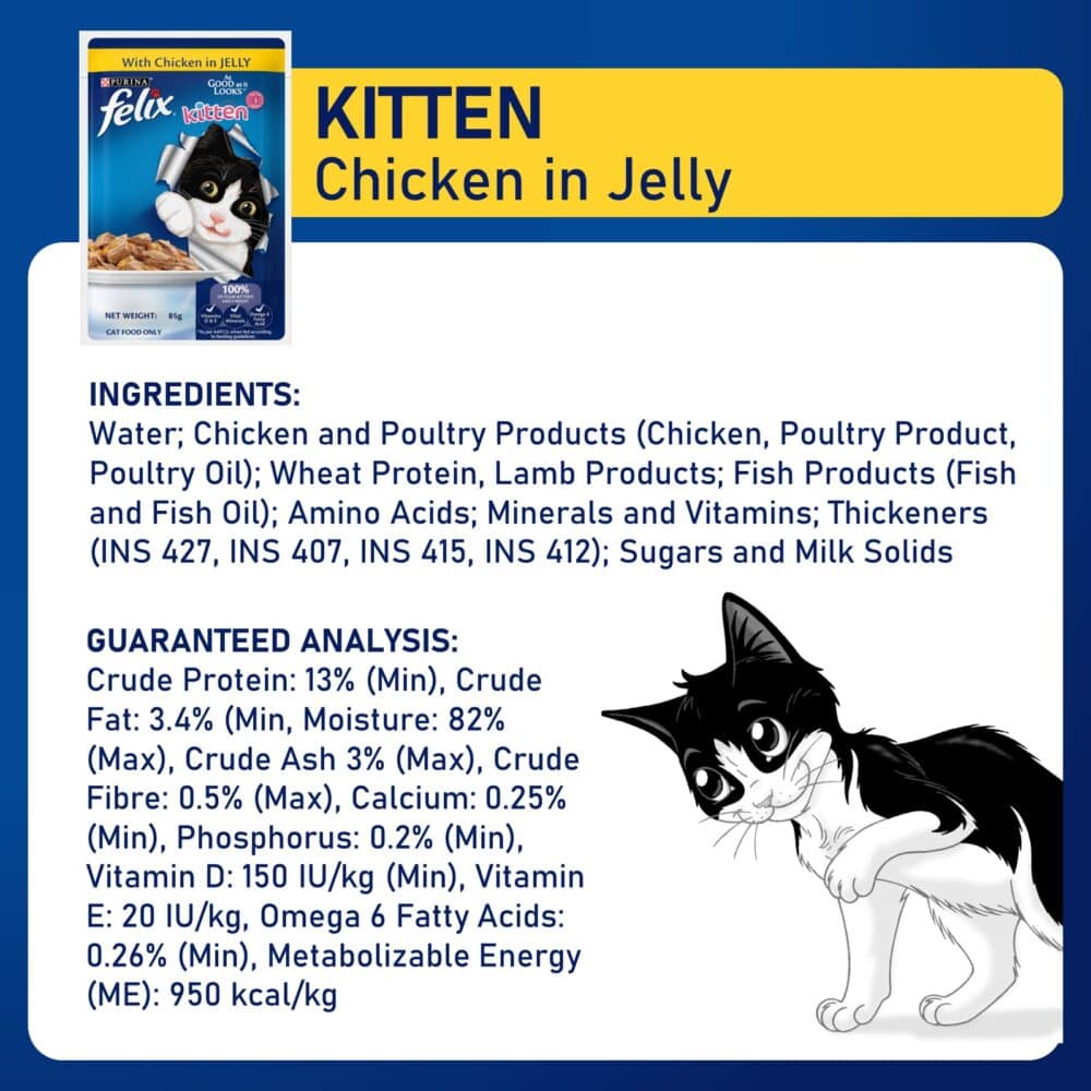 Purina FELIX Kitten Chicken in Jelly Wet Cat Food 85g PetMall Singapore